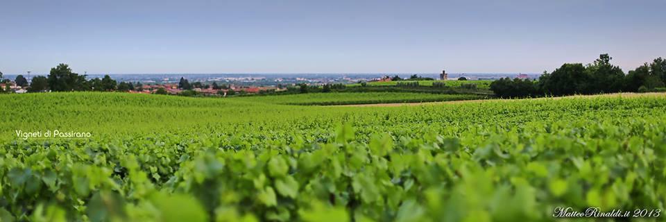 Wine & Lake In Franciacorta Passirano Exterior photo