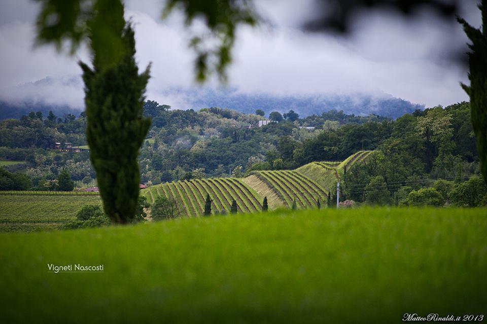 Wine & Lake In Franciacorta Passirano Exterior photo